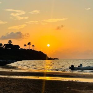 Introdução as ilhas